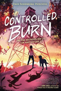 Book Cover of Controlled Burn