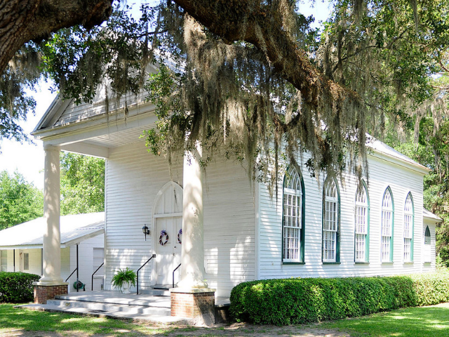 A white building with outlined teal windows next to a willow tree. 