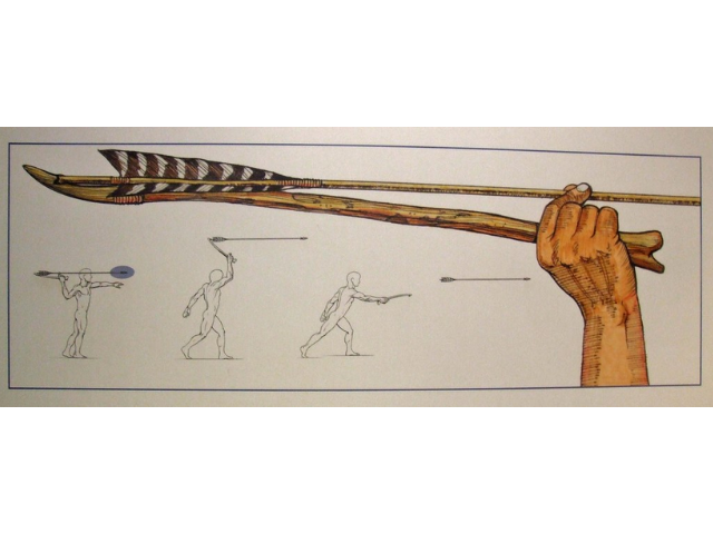 A hand holding an atlatl and a sketched illustrator of how it was used. 
