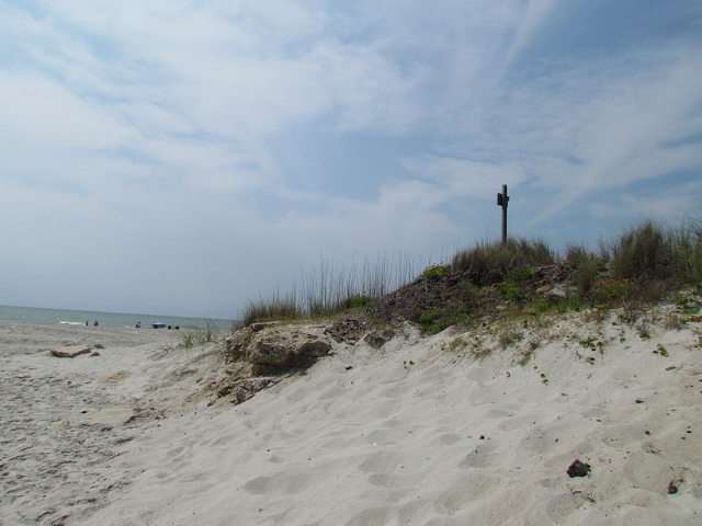 Off-white sand with a patch of greenish brown grass next to the sea. 