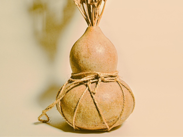 A tan gourd with a piece string tied around it containing a plant. 