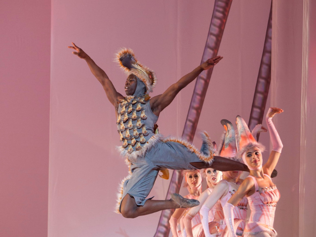 Brooklyn Mack in mid dance dressed as a gray, white, and orange dodo bird.