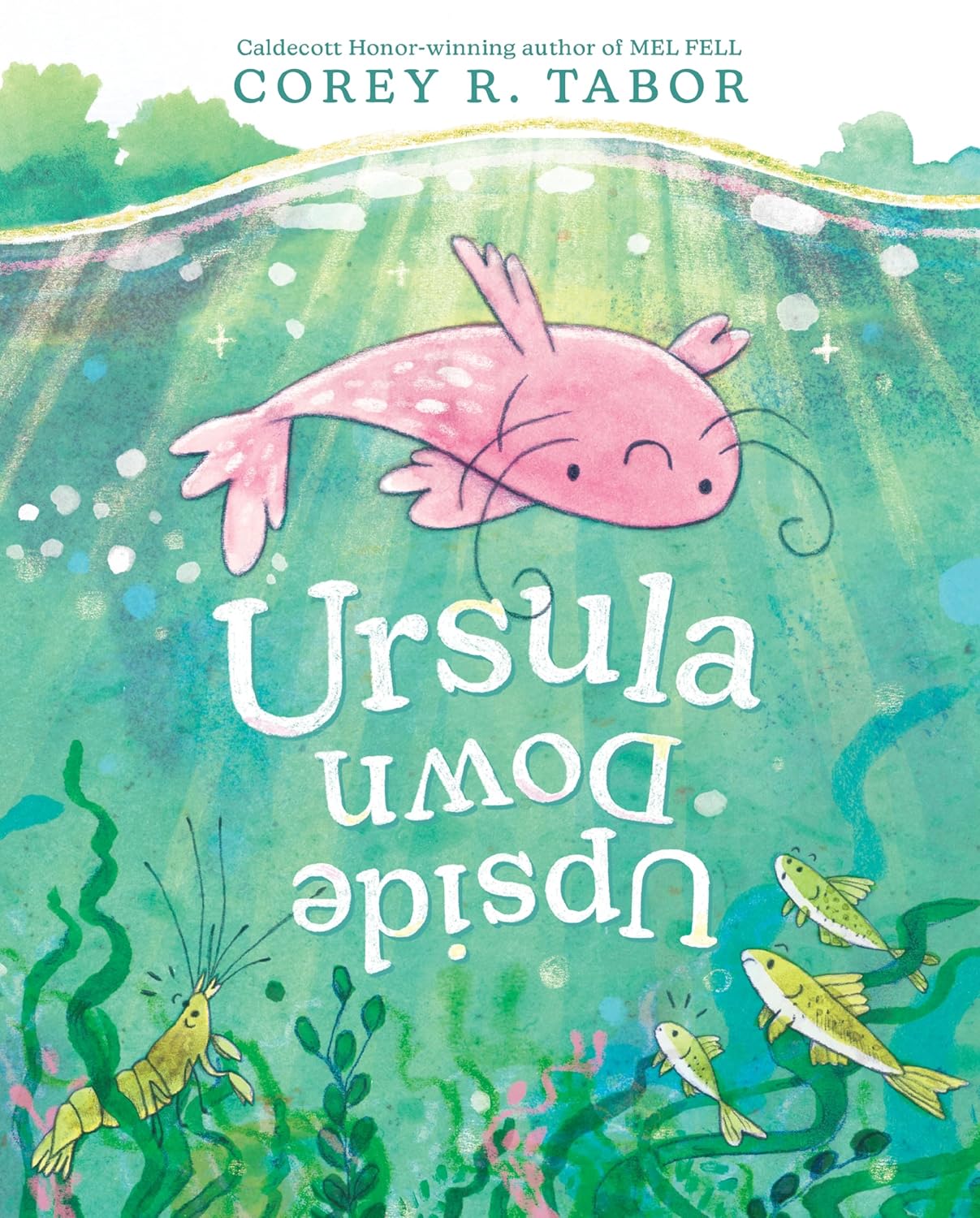 Book cover for Ursula Upside Down